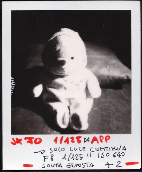 Plaroid SX-70 Revolution - test con luce ed esposizione di Francesco Francia - Manuale operativo - Schema luce split per test luci miste flash continua realizzato