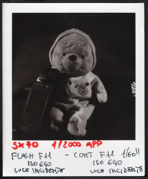 Plaroid SX-70 Revolution - test con luce ed esposizione di Francesco Francia - Manuale operativo - Schema luce split per test luci miste flash continua realizzato