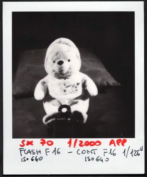 Plaroid SX-70 Revolution - test con luce ed esposizione di Francesco Francia - Manuale operativo - Schema luce split per test luci miste flash continua realizzato